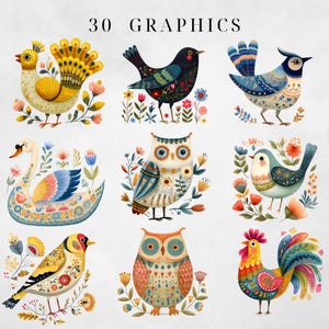 May include: A collection of 9 watercolor bird graphics with floral accents. The birds include a peacock, a blackbird, a blue jay, a swan, two owls, a robin, a goldfinch, and a rooster. The text "30 GRAPHICS" is at the top.