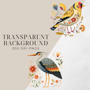 May include: Digital illustration featuring two birds and floral elements. One bird is yellow with red accents, the other is a heron with blue and orange details. Text reads "TRANSPARENT BACKGROUND 300 DPI PNGS."