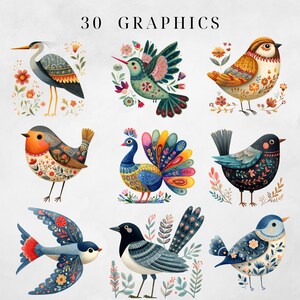 May include: A collection of nine colorful bird illustrations with floral accents. The birds feature various designs, including a heron, hummingbird, robin, peacock, and others, with the text "30 GRAPHICS" at the top. Each bird is unique, with detailed patterns and vibrant colors.