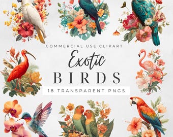 Exotic Birds: 18 PNG Floral Birds Graphics, Digital Download for Scrapbooking and Commercial Use