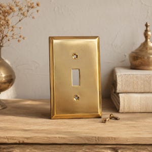 May include: A rectangular brass light switch plate with a polished gold-toned finish. The plate features a central vertical toggle opening and two circular screw holes positioned above and below the opening. Two small brass screws lie nearby.