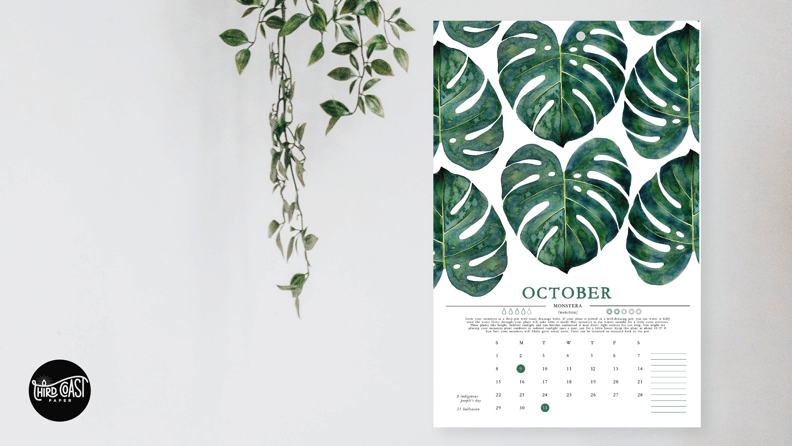 2025 Houseplant Calendar with Illustrations & Instructions [3 sizes!]