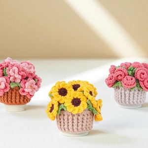 Floral Bloom Pot Crochet Pattern Bundle: Sunflower, Rose, Peach (PDF)