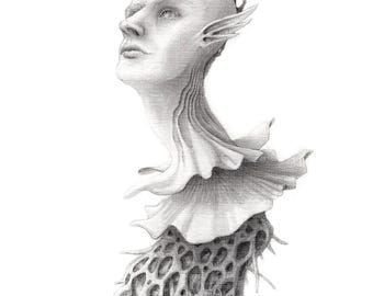 Original Art Print “Siren” art print of original graphite drawing