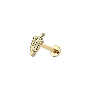 Puede incluir: Un pendiente de oro en forma de hoja. El pendiente presenta un diseño detallado de hoja y una parte trasera plana y redonda. El pendiente está diseñado para ser usado en un piercing. El pendiente se muestra sobre un fondo blanco.