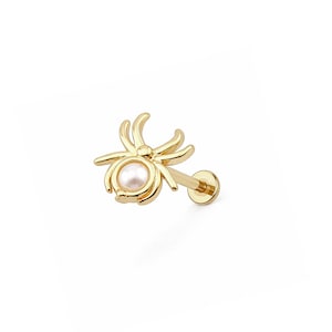 May include: A gold-colored spider-shaped earring with a small, round, white pearl in the center. The earring has a post and a flat backing. The spider's legs are curved and extend outward from the body.