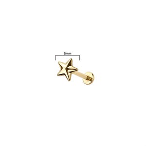 Op de afbeelding: Een goudkleurige oorbel in de vorm van een ster. De ster meet 5 mm breed. De oorbel heeft een platte achterkant en een pin voor inbrengen in een piercing. De oorbel is ontworpen om in de oor of andere lichaamspiercings te worden gedragen.