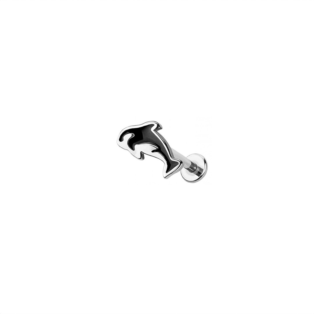 Micro Orca Micro Orca Killer Whale Labret Earring– 316L Surgical Steel – Dainty ...