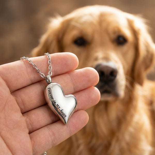 Personalisierte Haustier-Memorial-Urne-Halskette - Gravur Edelstahl Herz Asche Schmuck