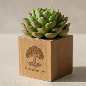 Può includere: Una pianta succulenta verde su un vaso quadrato di legno. Il vaso è inciso con un disegno di albero e le parole "TO EARTH, WITH LOVE". Il legno ha una venatura naturale e un colore marrone chiaro e caldo. Il vaso misura circa 8 cm.