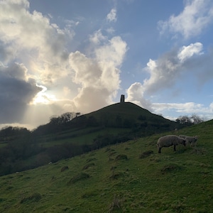 Puede incluir: Una vista de una colina cubierta de hierba con dos ovejas pastando en primer plano. Una torre de piedra se encuentra en la cima de una colina en la distancia, con un cielo brillante y nublado arriba.