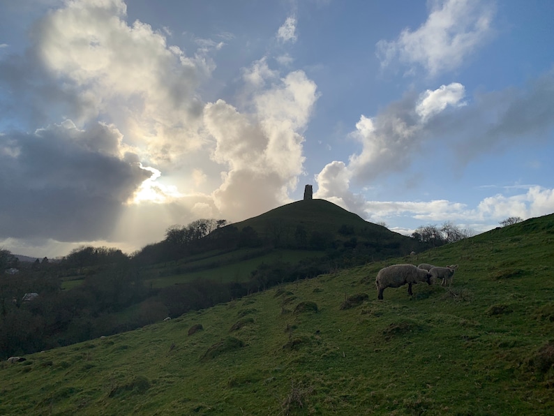 Puede incluir: Una vista de una colina cubierta de hierba con dos ovejas pastando en primer plano. Una torre de piedra se encuentra en la cima de una colina en la distancia, con un cielo brillante y nublado arriba.