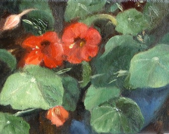 Nasturtiums Small Original Oil Painting Floral Painting Wall Decornting Flower Art Renate Diroll Art