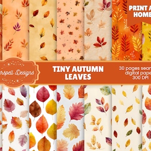 May include: A collection of digital papers featuring watercolor illustrations of autumn leaves in various colors, including red, orange, yellow, and brown. The papers are labeled "Tiny Autumn Leaves" and are described as 30 pages of seamless digital papers at 300 DPI. The words "Print at Home" are also visible.