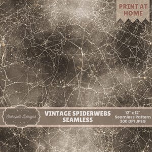 Vintage spinnenwebben naadloos patroon | Grunge verouderde webtextuur, antieke stoffige overlay, gotisch Halloween digitaal papier 12 x 12 JPG