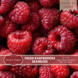 Könnte beinhalten: Nahaufnahme von frischen, reifen Himbeeren. Das Bild zeigt ein nahtloses Muster der roten Beeren mit dem Text "FRESH RASPBERRIES SEAMLESS" und "12" x 12" Seamless Pattern 300 DPI JPEG". Der Text "PRINT AT HOME" ist ebenfalls enthalten.