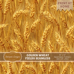 Papel digital sin costuras con diseño de campos de trigo dorado / Paisaje rústico de granja para diseños de cosecha, otoño y campestres.