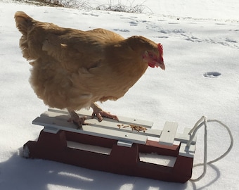 Amish Made Chicken Snow Sled