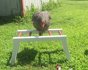 Amish Made Monkey Bars for Chickens