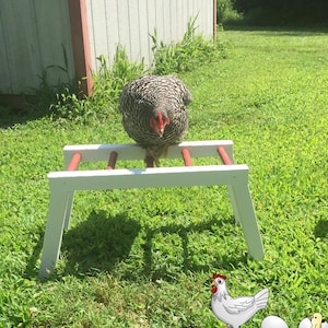 Amish Made Monkey Bars for Chickens