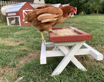 Amish ChickNic Table - A Picnic Table for Chickens