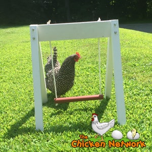 Amish Made Chicken Swing image 1