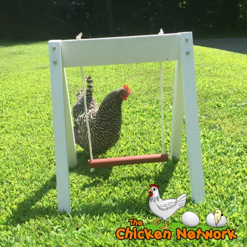 Amish Made Chicken Swing