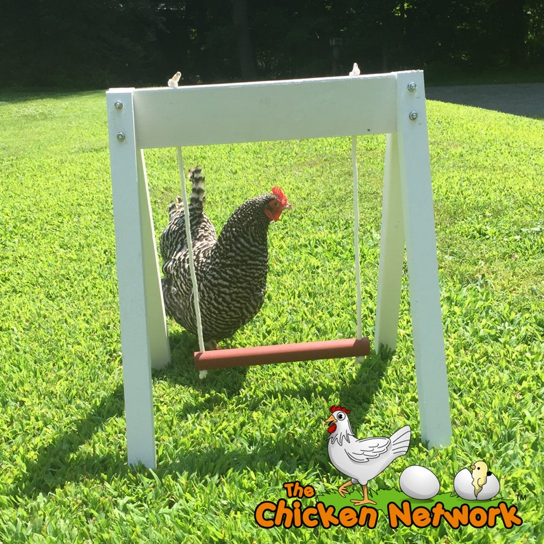 Amish Made Chicken Swing image 1