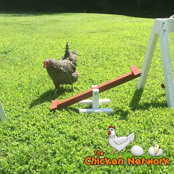 Teeter totter swing deals