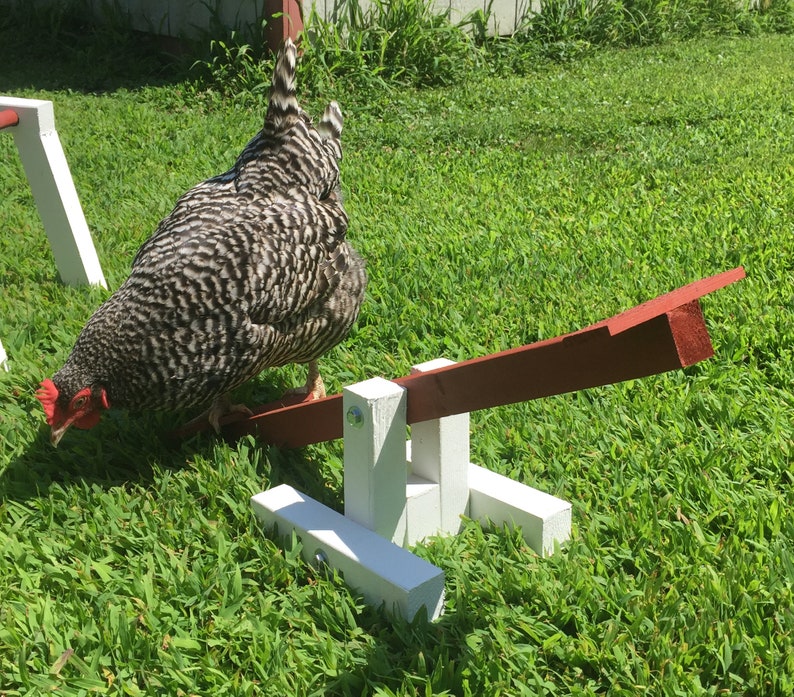 Amish Made Chicken Teeter Totter / SeeSaw image 3
