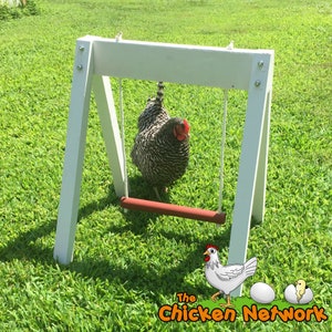 Amish Made Chicken Swing image 2