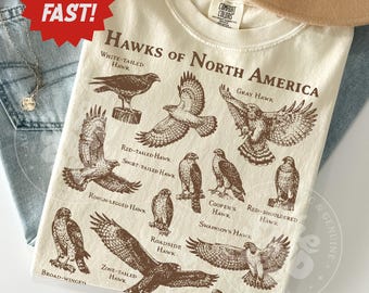 Vintage Hawks North America Shirt Scientific Illustration Birdwatching Raptor Nature Chart Comfort Colors Gift