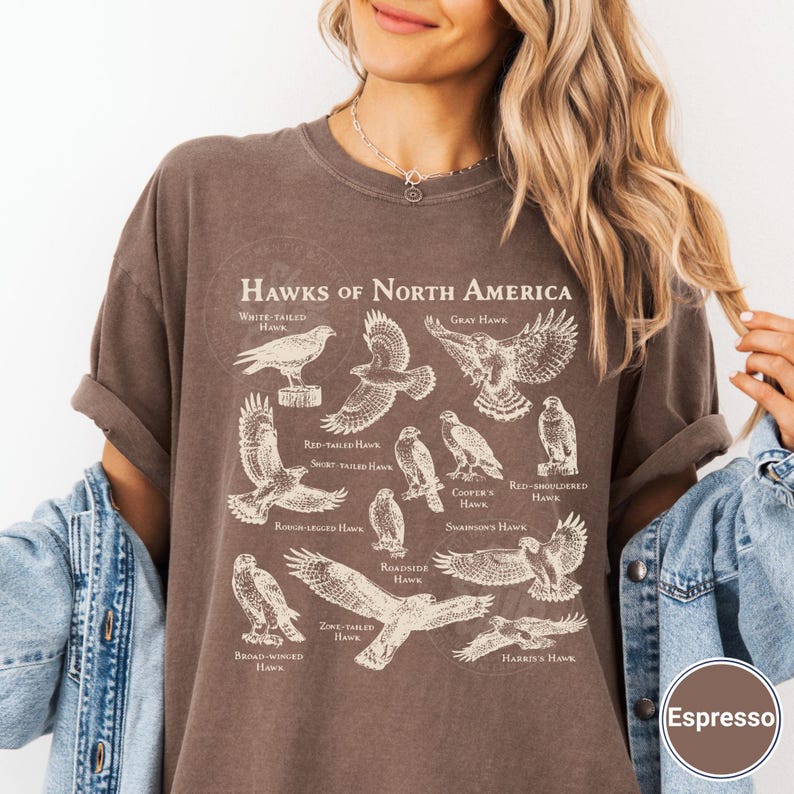 Vintage Hawks North America Shirt Scientific Illustration Birdwatching ...