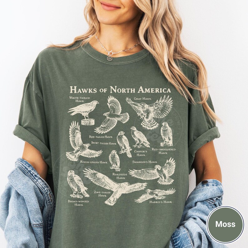Vintage Hawks North America Shirt Scientific Illustration Birdwatching ...