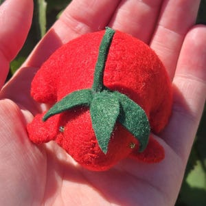 Può includere: Un pomodoro rosso di peluche con uno stelo e foglie verdi. Il pomodoro fatto a mano è tenuto in una mano, con uno sfondo di foglie verdi. Il pomodoro è un oggetto fatto a mano e stravagante.