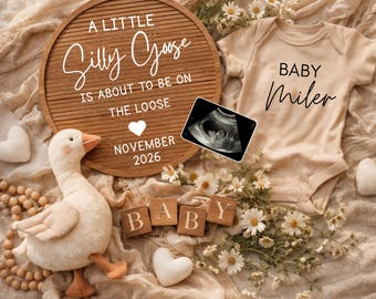 Minimalist Neutral Silly Goose Pregnancy Baby Announcement, Editable boho Baby Reveal Canva Template for Social Media (Digital Download)