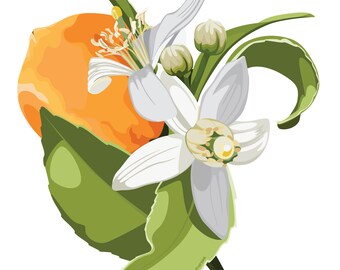 Florida Orangen Blüten Aufkleber