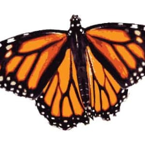 Monarch migratie