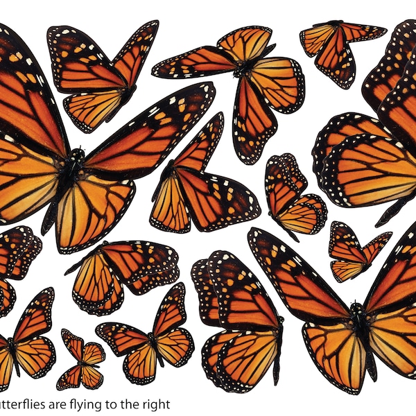 A Flutter of Monarch Butterflies for your car