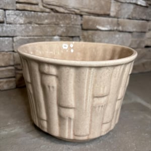 May include: A beige ceramic planter with a speckled finish and a vertical bamboo-like relief pattern. The bowl-shaped vessel features a wide, open top and a smooth, rounded base, showcasing a consistent light tan color throughout the exterior.