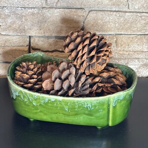 May include: A green ceramic bowl filled with several brown pine cones. The bowl has a rectangular shape with rounded edges and small feet. The background features a textured stone wall.