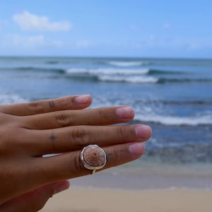 May include: A ring featuring a circular, tan-colored seashell set within a polished silver-toned metal bezel. The shell displays a natural spiral pattern with concentric rings, securely mounted on a simple, thin, metallic band.
