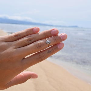 Hawaiian sea shell ( mini Opihi) 14k gold filled midi ring
