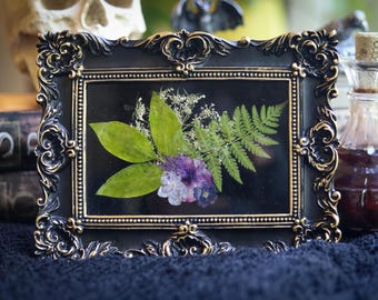 Gothic Pressed Flower Art in Ornate Black Frame