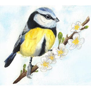 Bird and blossom A5 watercolour print - hand painted wildlife wall art