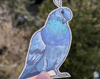 Pigeon sticker - original artwork on matte vinyl paper