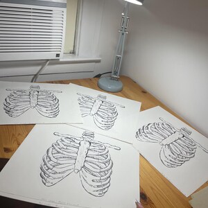 Puede incluir: Dibujos a tinta en blanco y negro de cajas torácicas humanas sobre papel blanco. Los dibujos se muestran sobre una superficie de madera, con una lámpara de escritorio gris y un aparato de aire acondicionado en el fondo. Los dibujos están etiquetados.