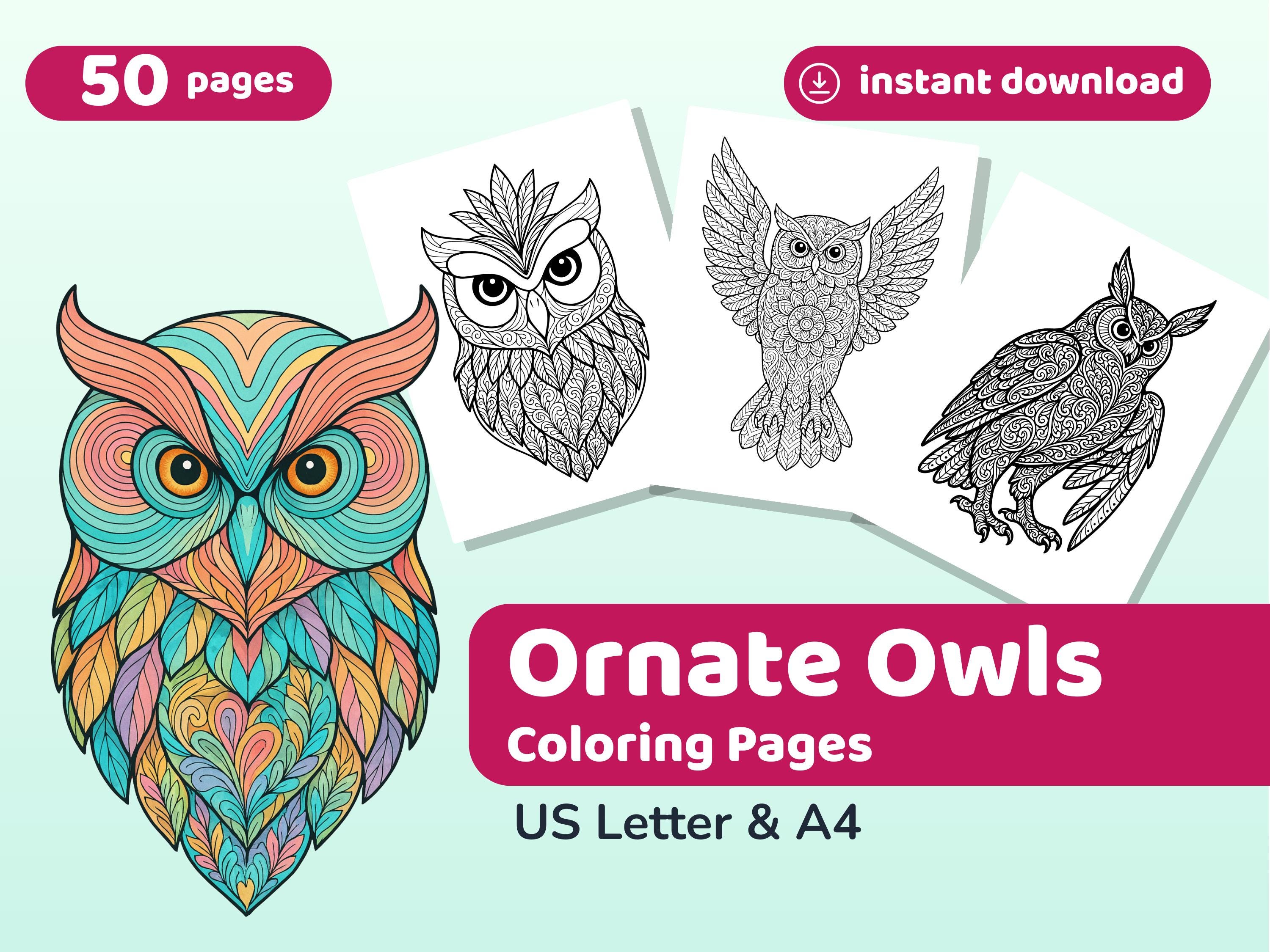 50 Ornate Owls Coloring Pages | Printable PDF | Instant Download | US Letter & A4