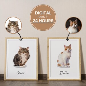 Retrato de gato personalizado a partir de una foto: Ilustración de mascota en acuarela (Descarga digital A4, JPG 300dpi)