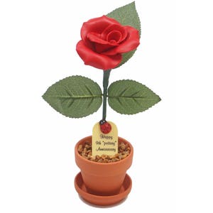 May include: A red leather rose in a terracotta pot with a small ladybug and a tag that reads "Happy 9th Pottery Anniversary".